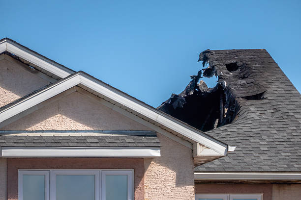 Top rated local Board Up Services specialists in Hampton, VA